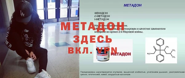 хмурый Аркадак
