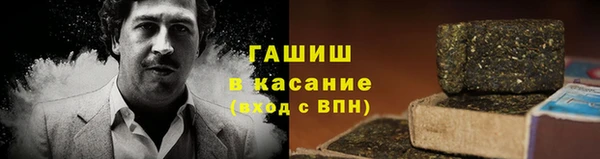 хмурый Аркадак