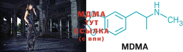 хмурый Аркадак