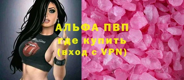 хмурый Аркадак
