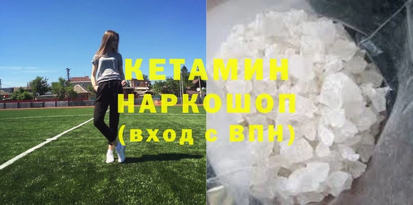 хмурый Аркадак