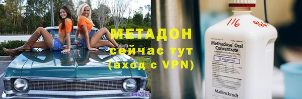 хмурый Аркадак